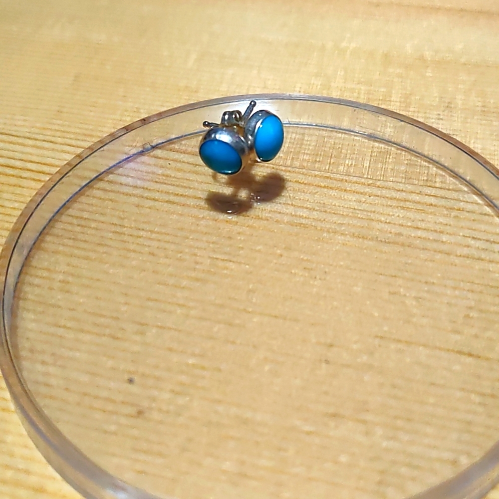 Turquoise Stud Earrings